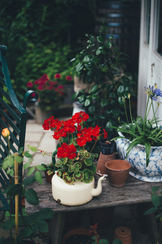 container gardening 