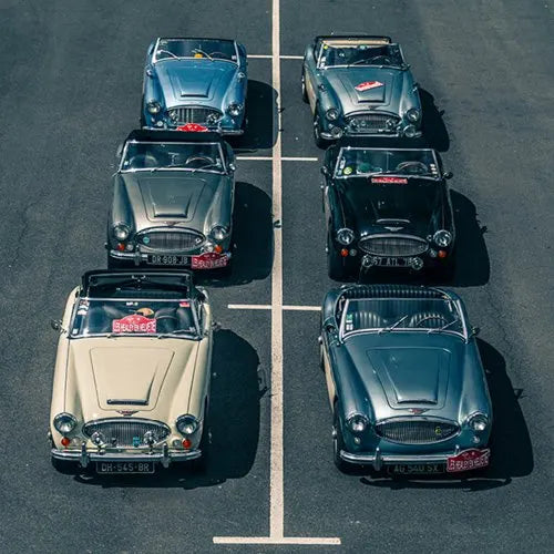 Austin Healy cars