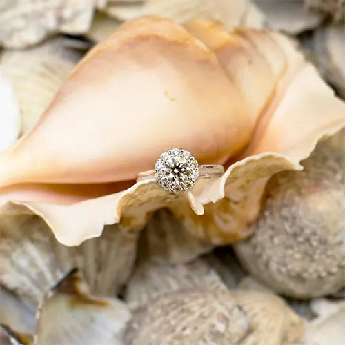 Diamond ring in seashell