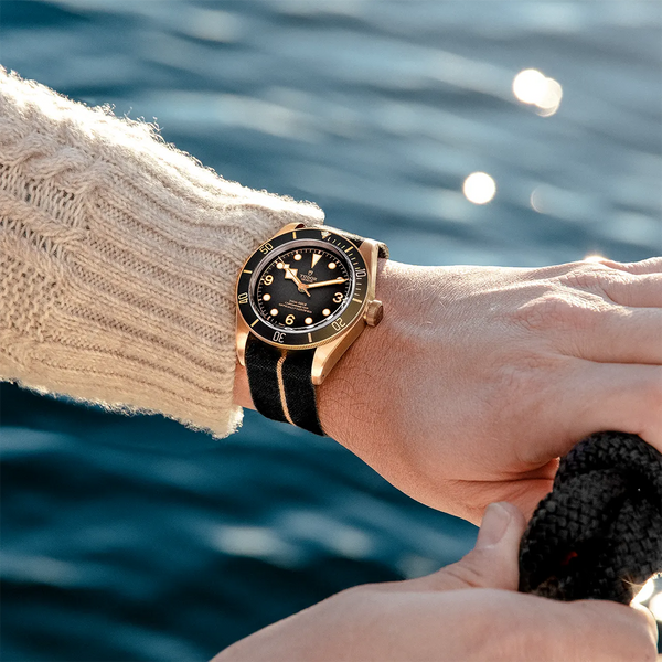 bronze tudor watch