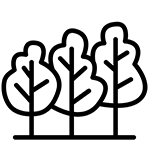 Icon afforestation