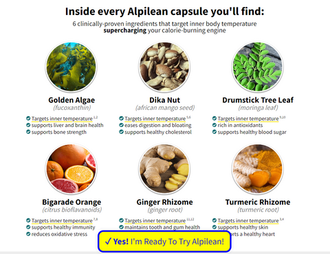 Alpilean website screenshot 2