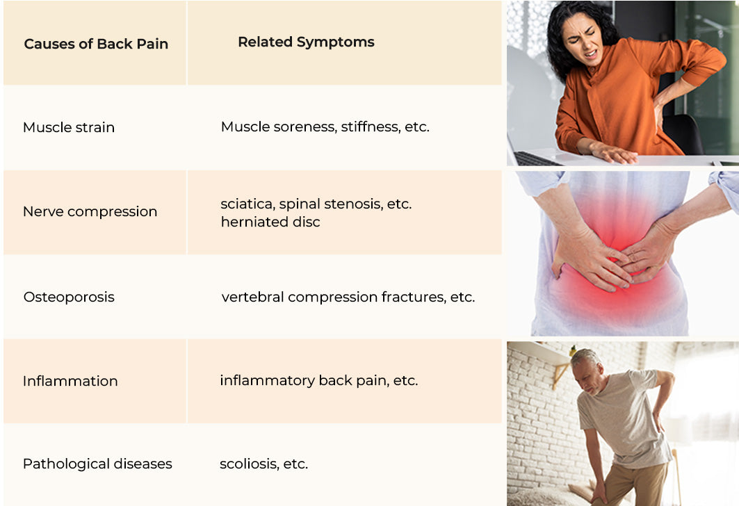 causes of back pain