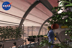 LED plant automation system