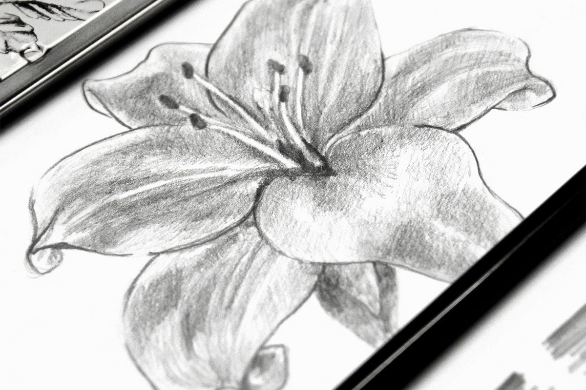 A flower sketched with Monochrome Shading Pencils from Artistry by Altenew