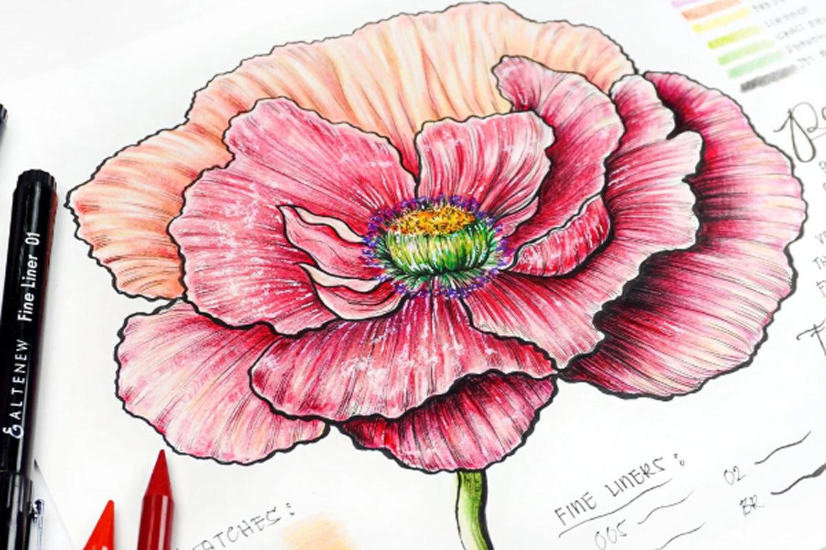 A flower drawn with a Fine Liner Pen and colored pencils