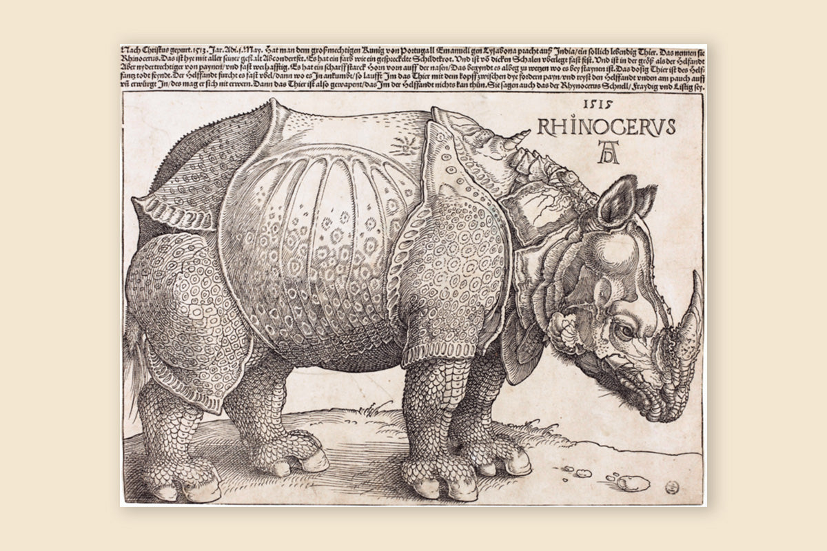 The Rhinoceros (1515)