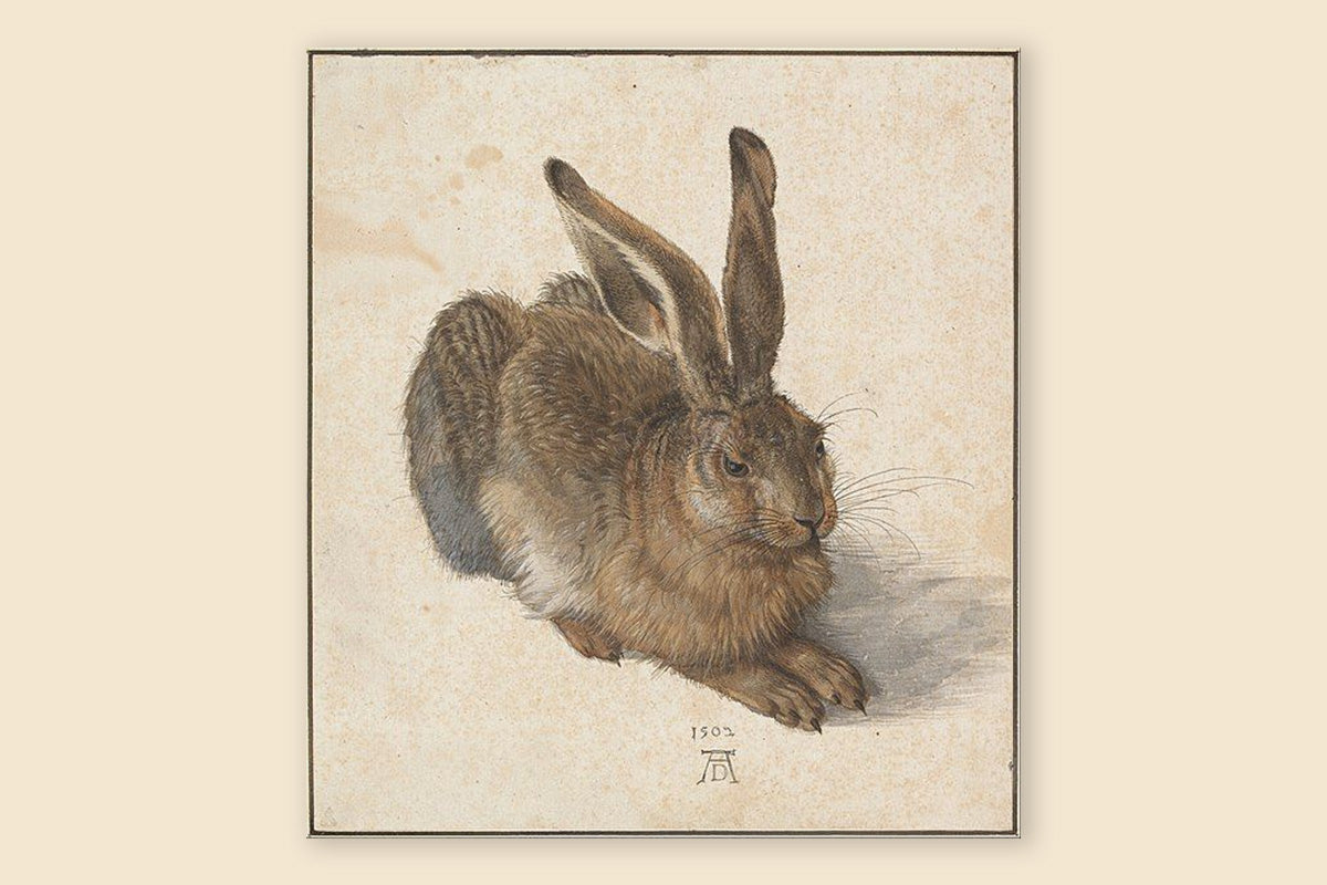 The Young Hare (1502)