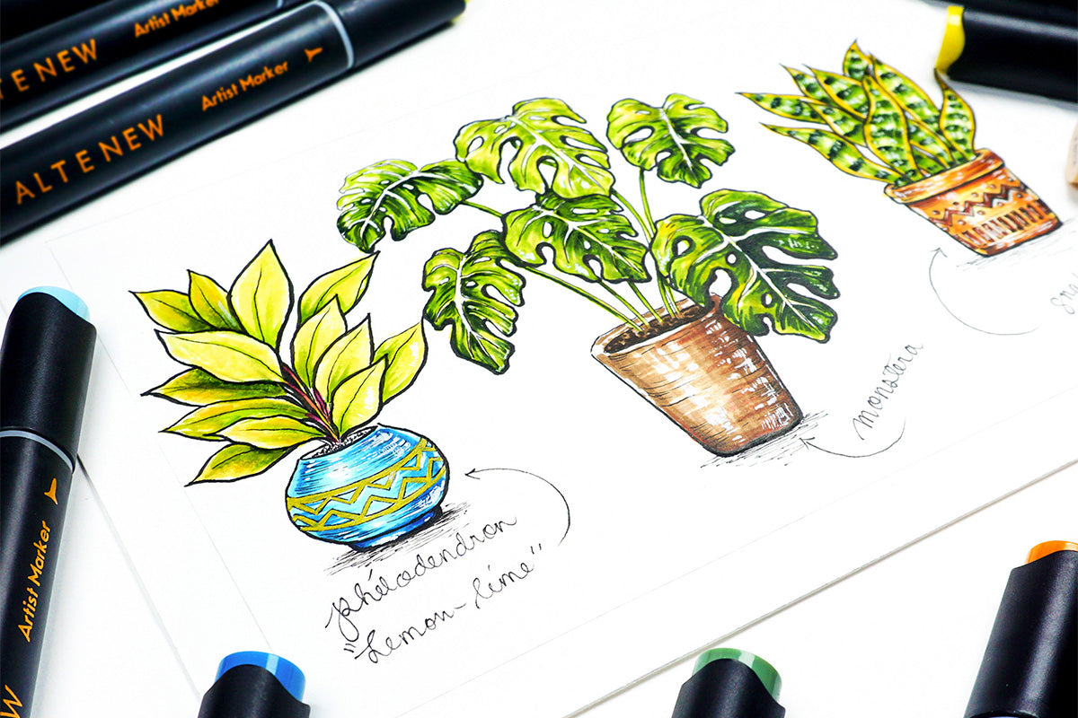 A drawing of potted succulents, colored in using Artistry alcohol markers