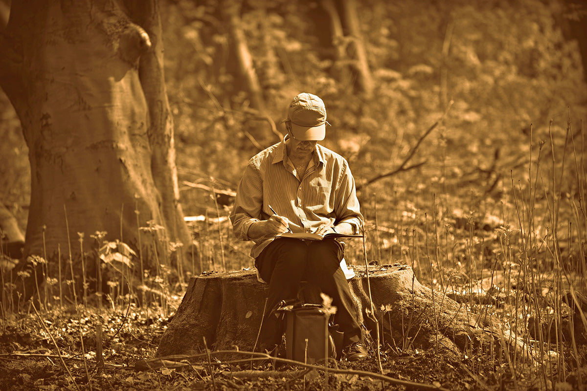 A sepia photo of a man drawing on a sketch pad while sitting on a tree stump in the middle of the woods