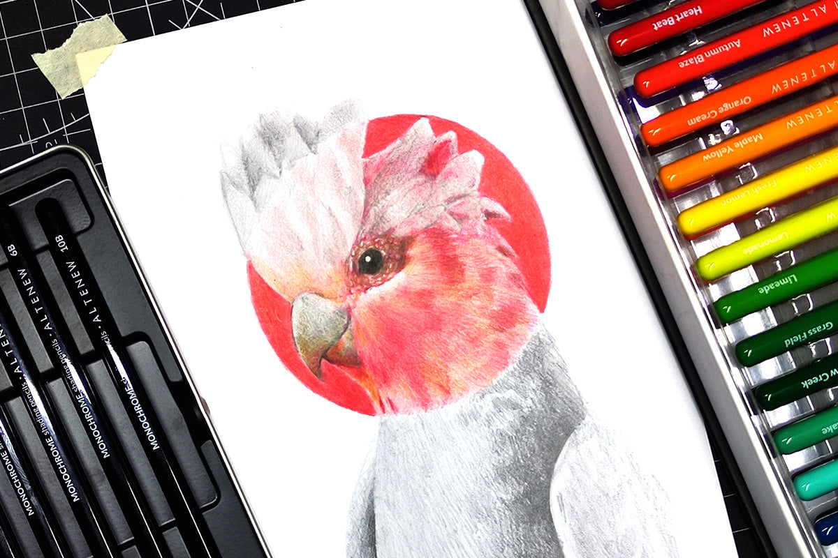 A beautiful drawing of a parrot against a red backdrop