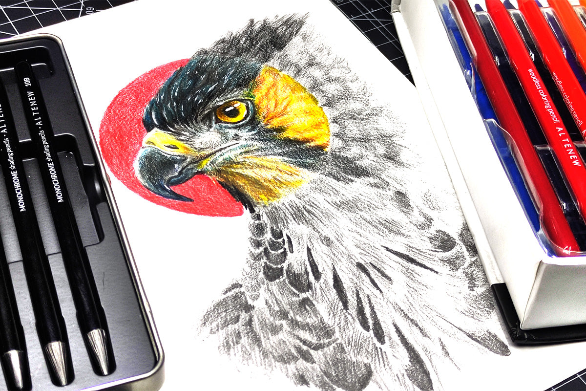 Learn how to draw with colored pencils using these high-quality, woodless coloring pencils!