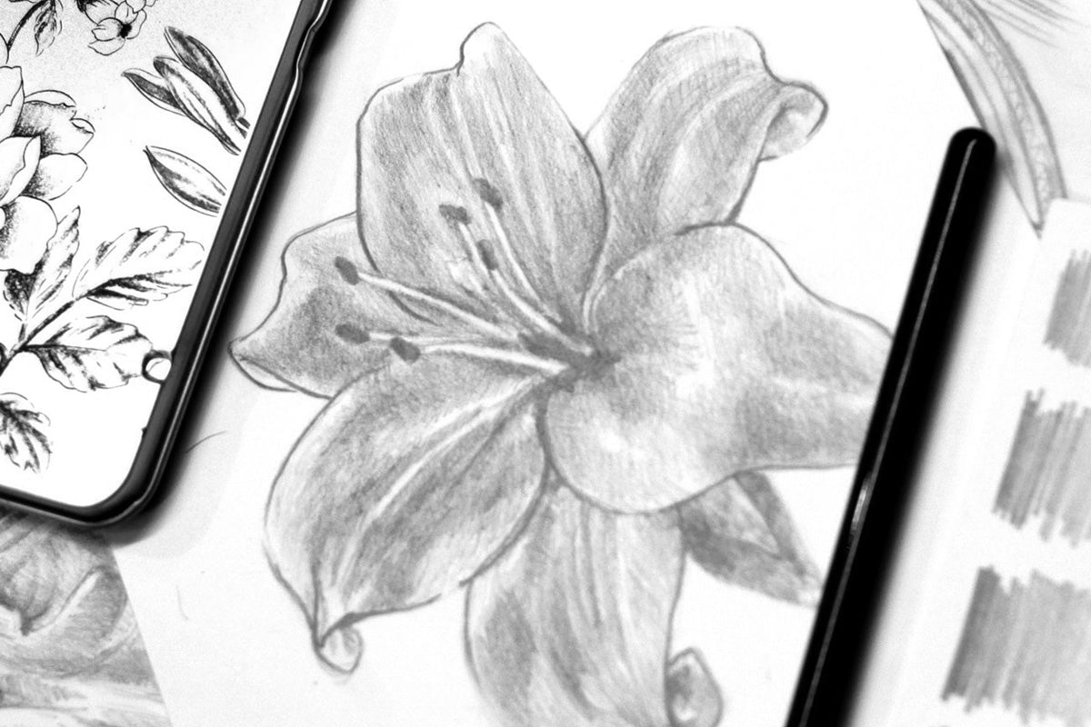 Learn how to draw flowers, portraits, and landscapes with pencils through our Artistry by Altenew blogs!