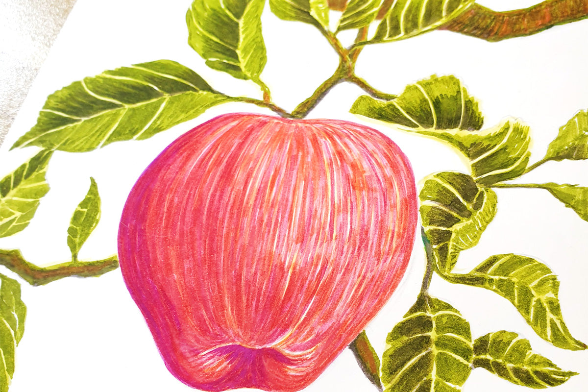 A watercolor painting of an apple hanging on a branch