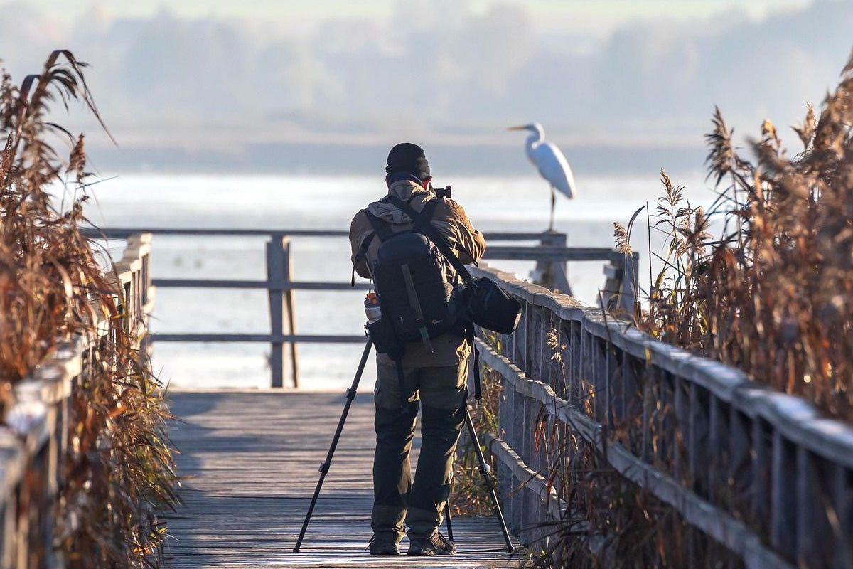 A man taking a photo of a bird by a river