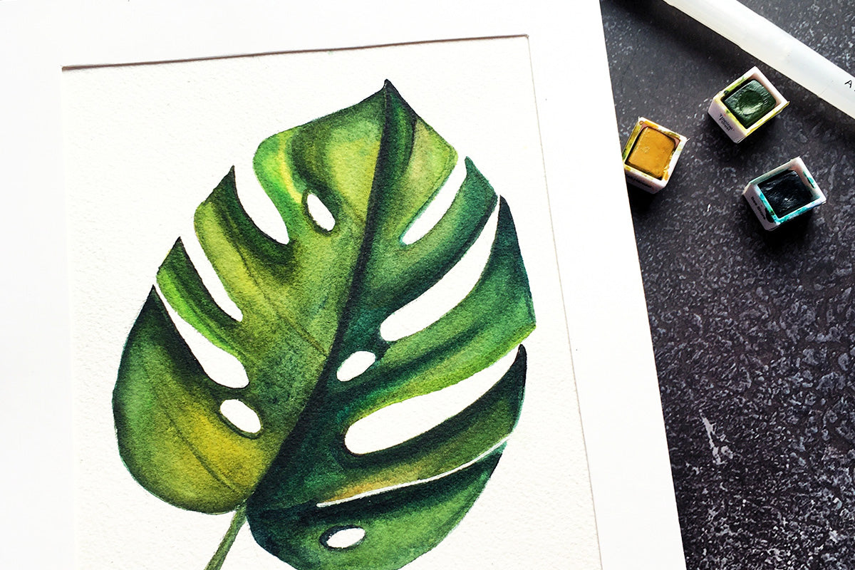 a painting of a monstera leaf, painted using Artistry's watercolor pans