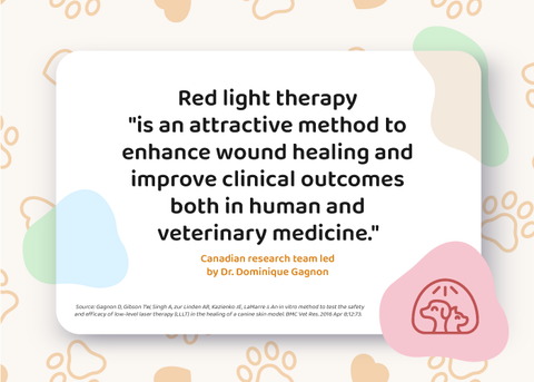 Better Clinical Results Red Light Therapy Pets