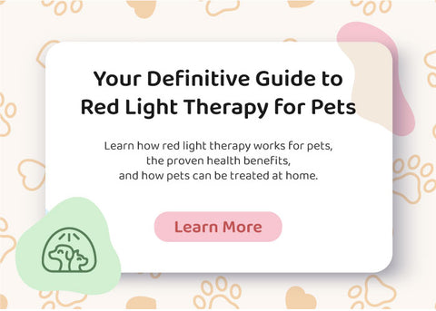 Red Light Therapy 101 Dogs Cats