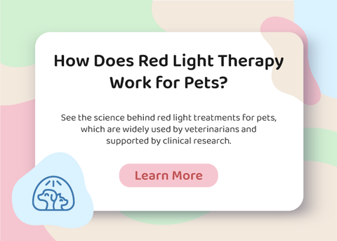 How Red Light Therapy Works Pets