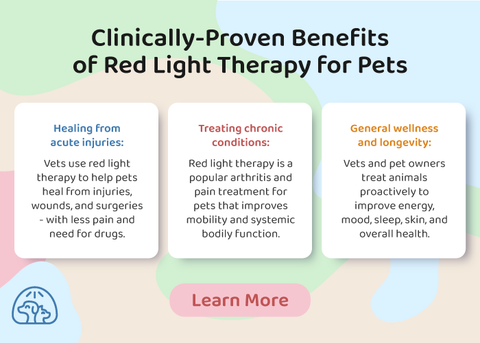 Red Light Therapy Benefits Pets