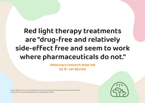 Red Light Therapy Animals Clinical Research