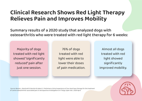 Research Red Light Therapy Improve Pet Mobility