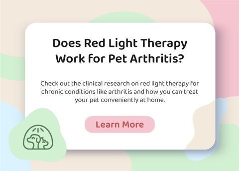 Red Light Therapy Pet Arthritis