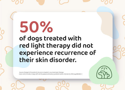 Red Light Therapy Dog Healthy Skin