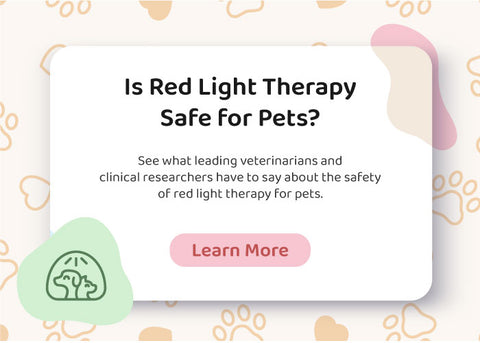 Red Light Therapy Safe Pets