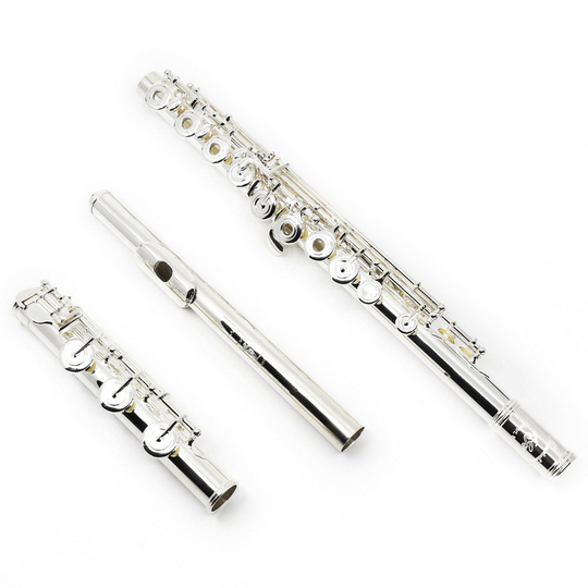 Professional flute for beginners best sale