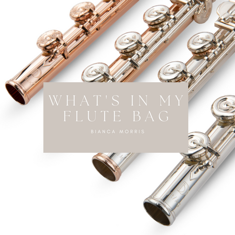 Flute and Tin Whistle Carrying Case | Folkcraft Instruments