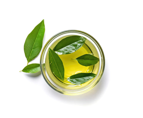 Rosemary Oil and Tea Tree Oil