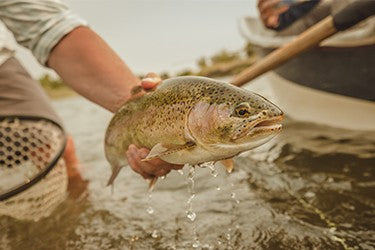 Trout Stalker Fly fishing boat  Classifieds for Jobs, Rentals