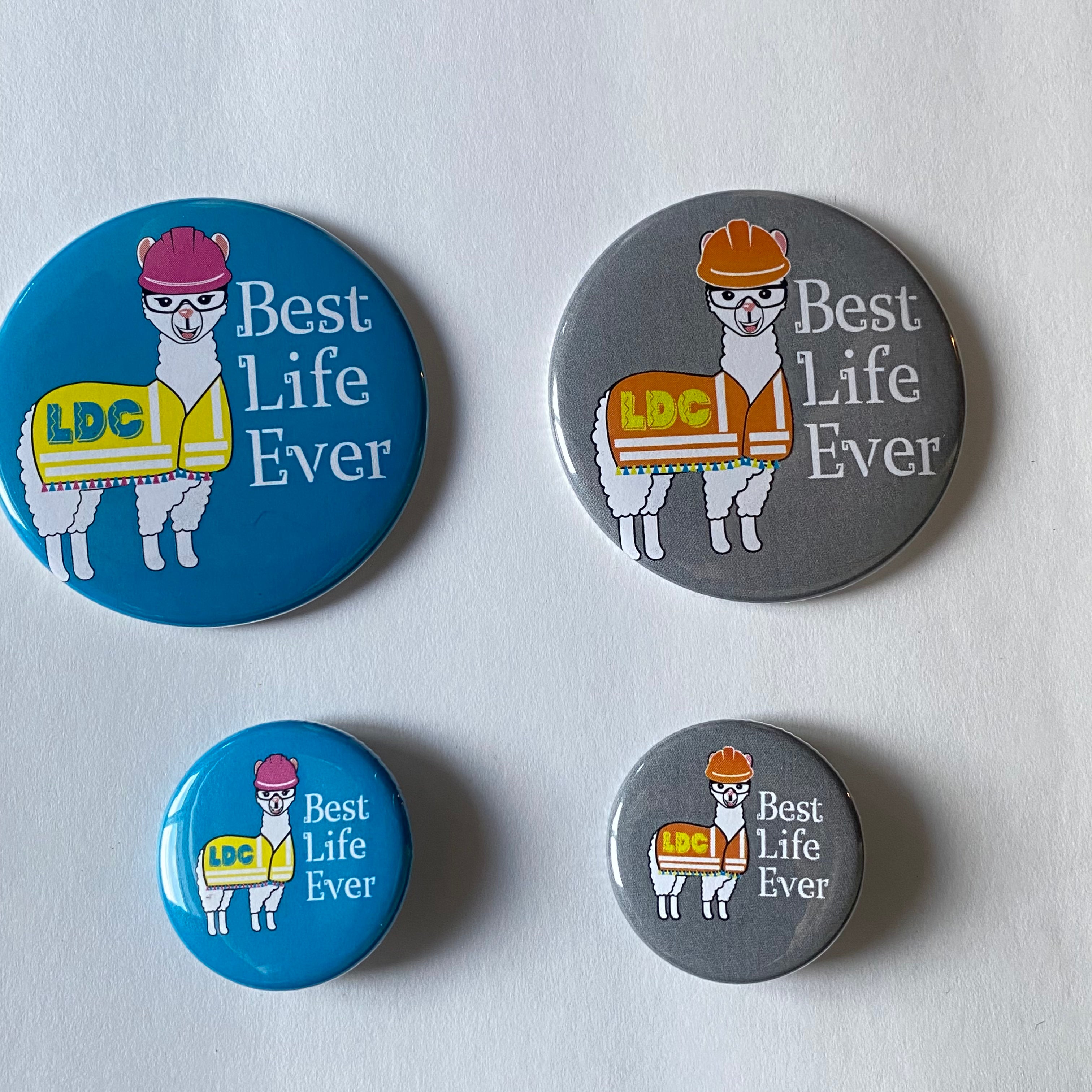 LDC - Llama - Best Life Ever