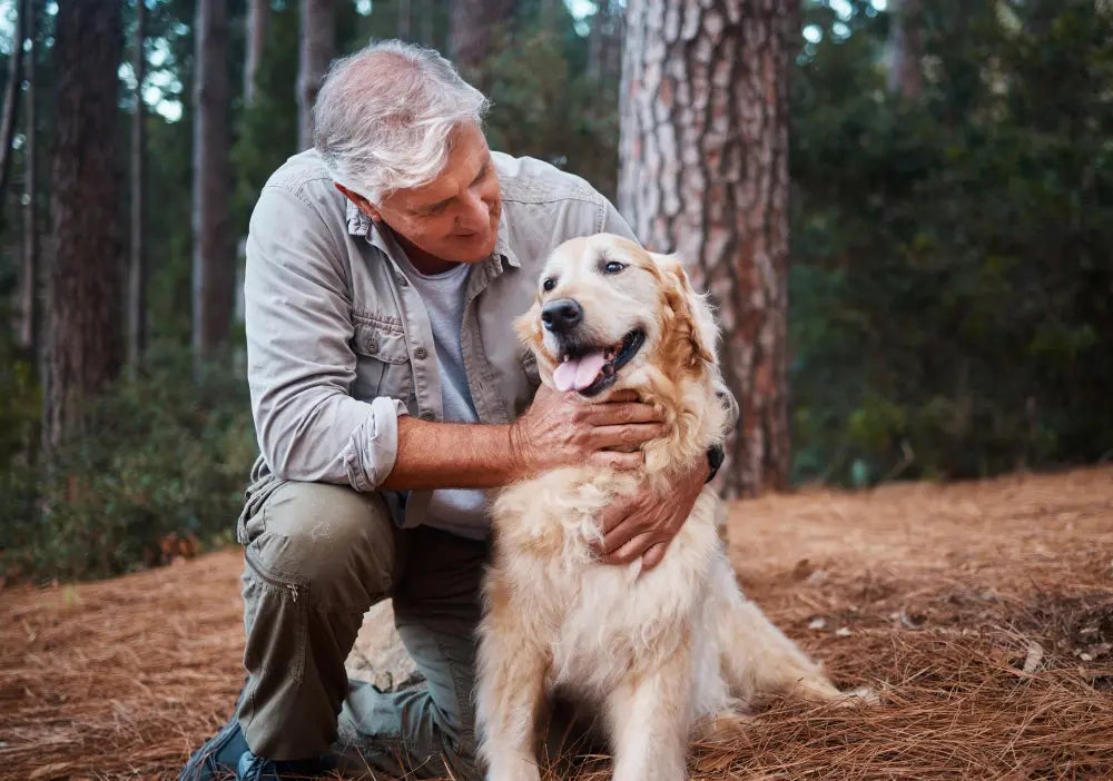 senior-man-hiking-with-dog-forest-adventure-fitness-with-travel-pet-with-love-care-nature-trekking-vitality-with-mature-male-retirement-golden-retriever-puppy-outdoor