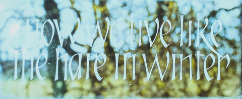 the phrase "the hare in winter" etched into window glass with trees behind