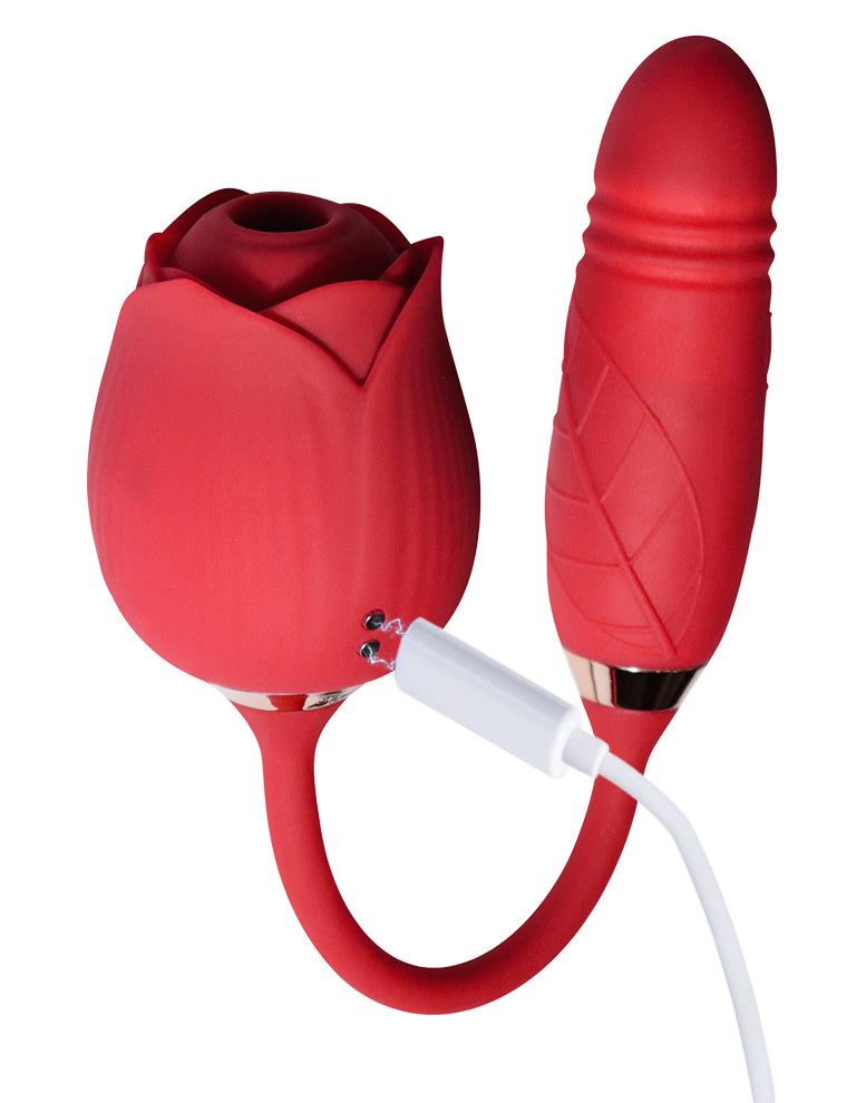 Cordon de câble de chargeur de vibrateur  USB CC 2.5 pour les jouets pour  adultes - Site officiel de Rose Toy