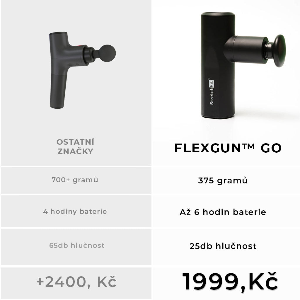 Masazni pistole Flexgun GO StretchFit