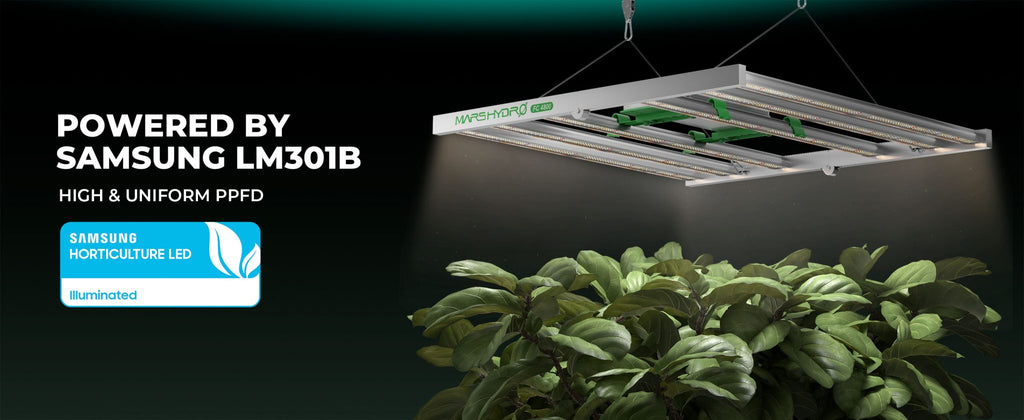 Mars Hydro FC 4800 LED with 120x120x200cm Grow Tent 6'' Smart Inline Fan Carbon Filter Kits