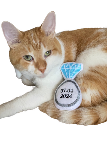 A cat with an engagement ring cat toy, personalized with the wedding or engagement date. Engagement or marriage announcement photo idea