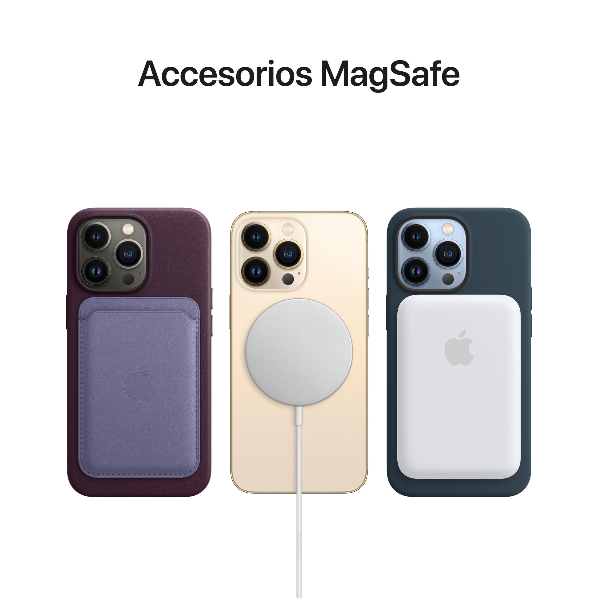 Funda de piel con MagSafe para el iPhone 13 Pro Max - Verde Secuoya