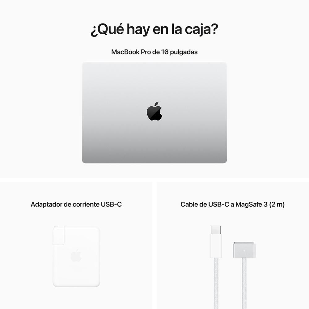 Gris espacial / 16GB / 512 GB