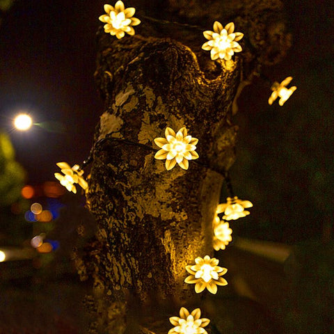 Outdoor String Lights