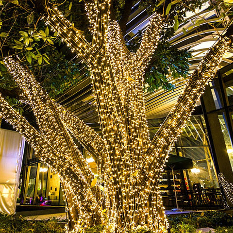 Beaded Solar Mini String Light