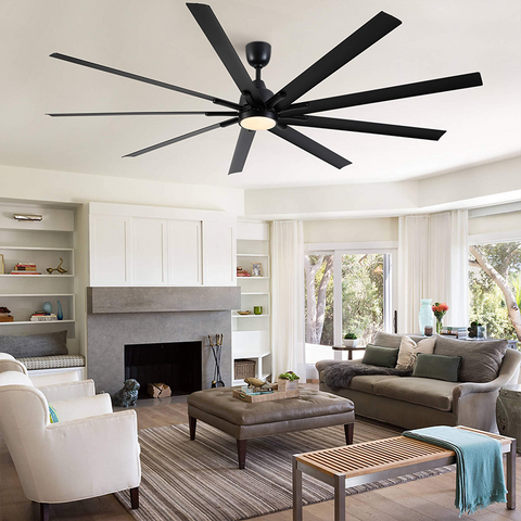 Ceiling Fan with Light