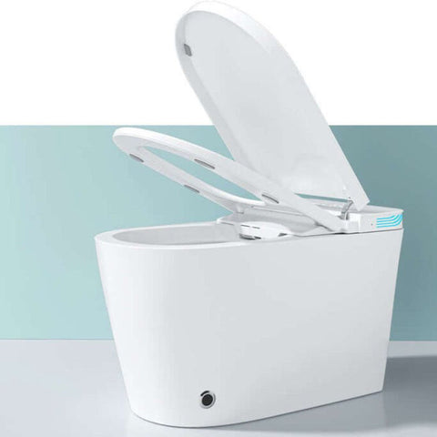 luxury tankless tredy smart toilet