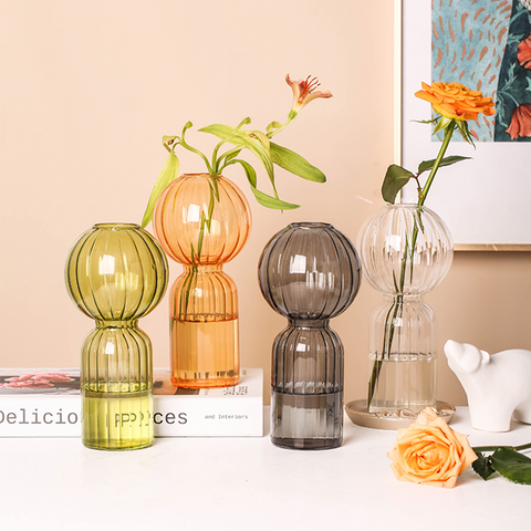 Creative Transparent Hydroponic Vase