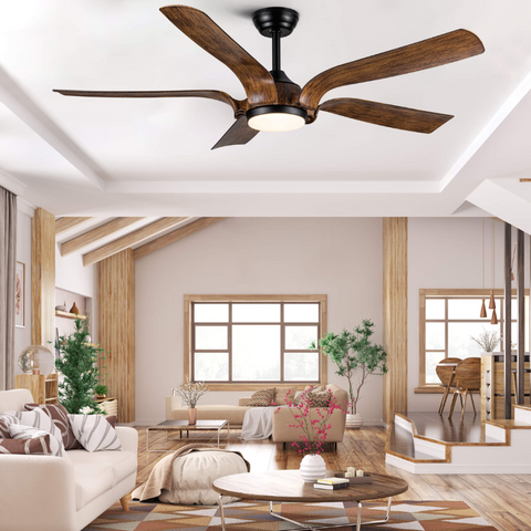 Ceiling Fan with Light