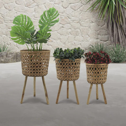 The Best Gardening Pots and Planters for Stylish Plant Parents!