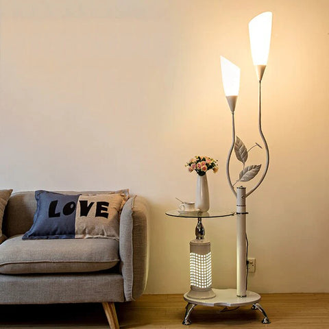 Floor Lamps with Shelves